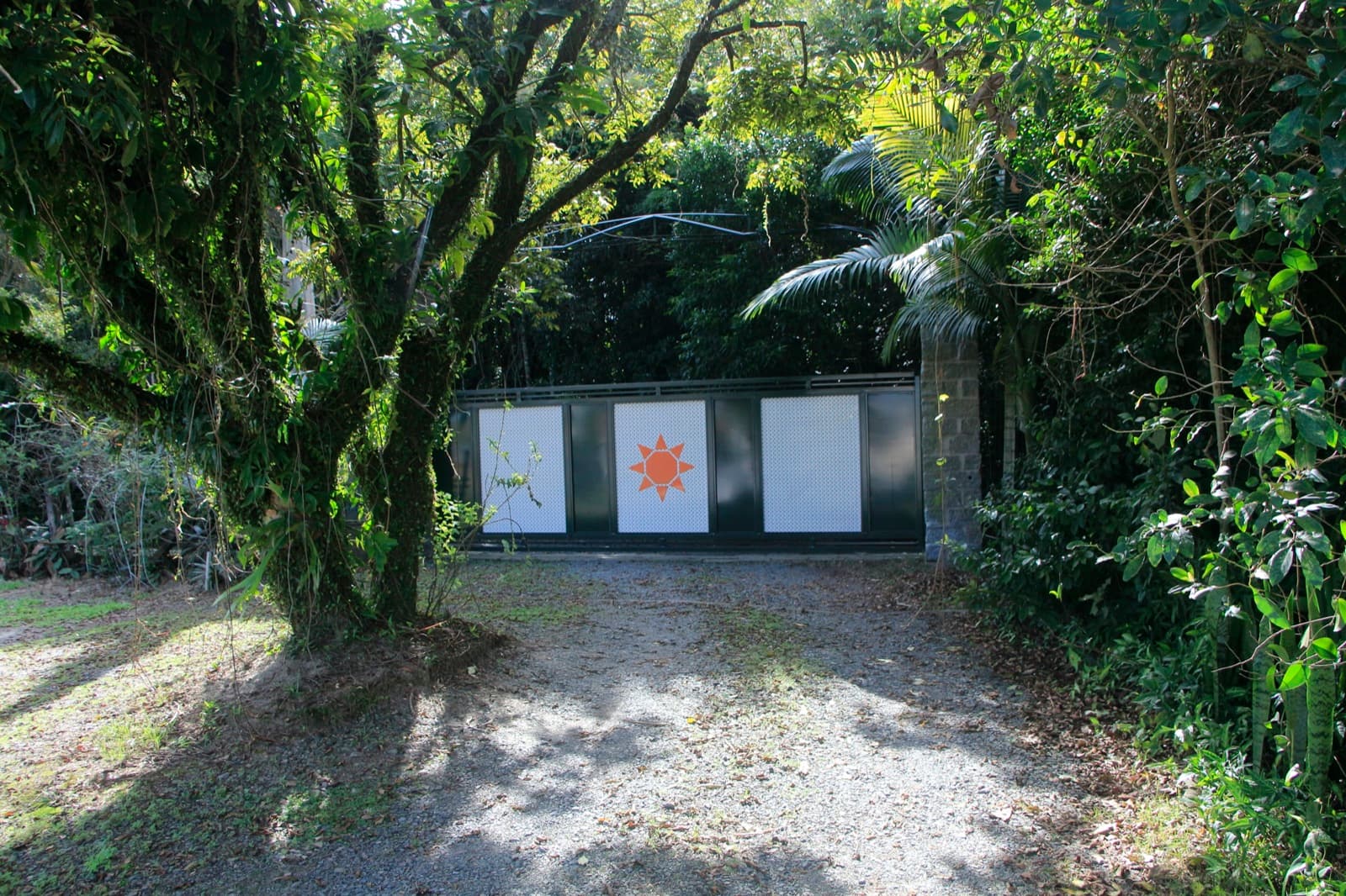 Entrada da Base Tríade — árvore centenária coberta de musgo